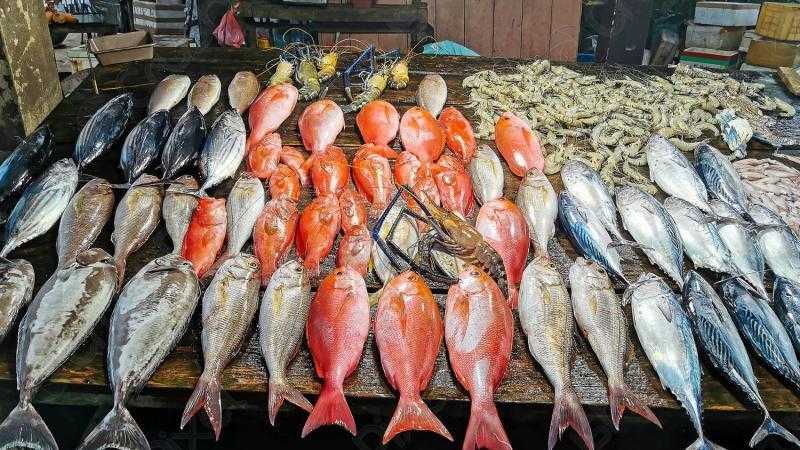 أسعار الأسماك اليوم الجمعة 17-5-2024 في الأسواق