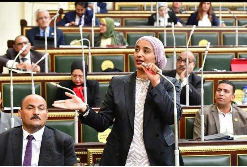 النائبة أميرة أبوشقة: لم يبق أمام الحكومة سوى خصخصة الشعب