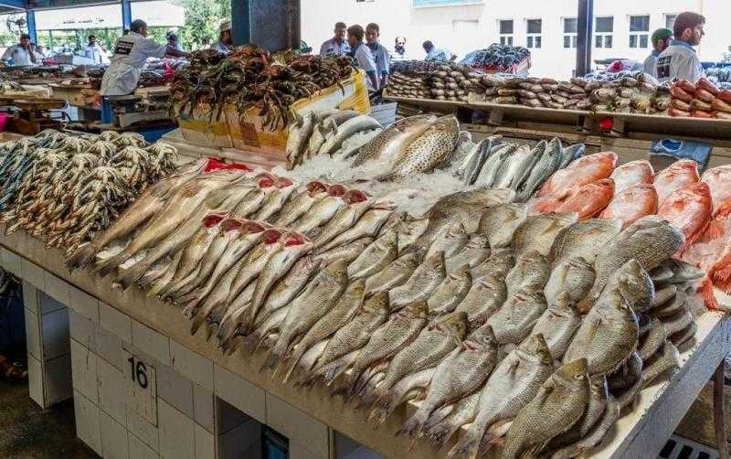 ارتفاع أسعار الأسماك اليوم الأربعاء 26-6-2024 في سوق العبور