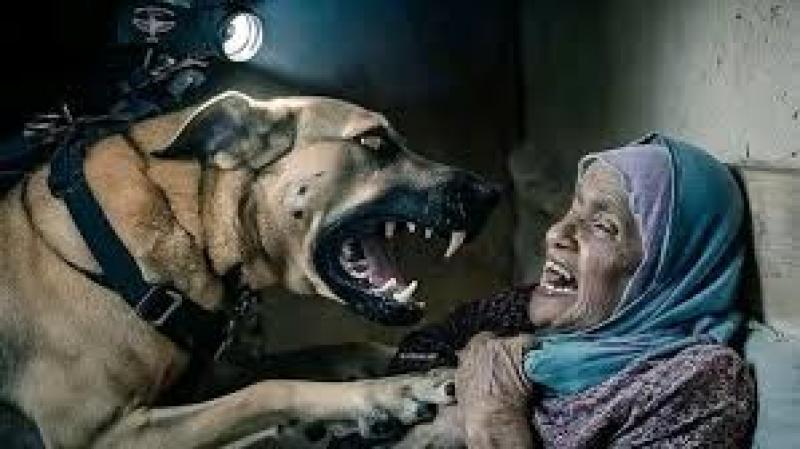 نهش الكلب جسدها..حقيقة  فيديو السيدة والكلب المنتشرة عبر مواقع التواصل الاجتماعي