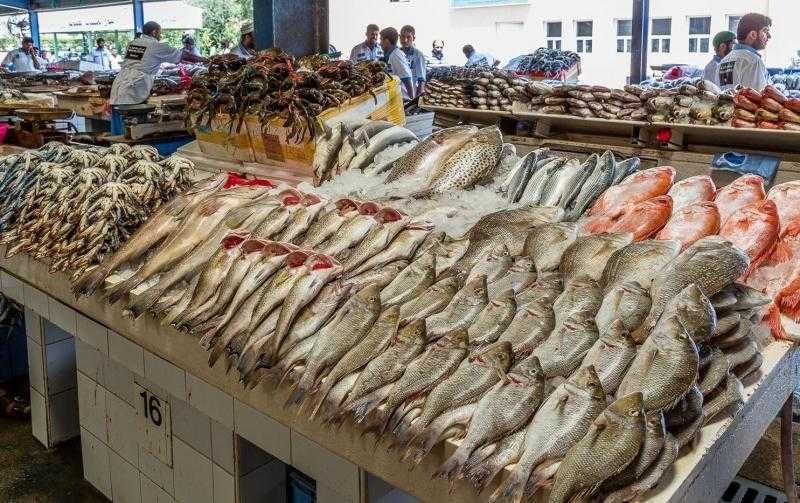 أسعار الأسماك اليوم الجمعة 28-6-2024 في سوق العبور