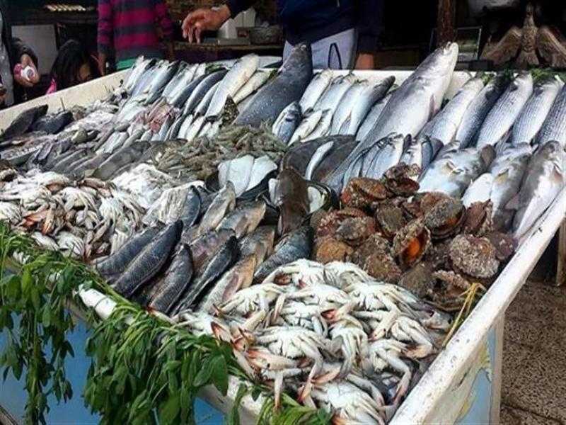 ارتفاع أسعار الأسماك اليوم الثلاثاء 2-7-2024 في الأسواق