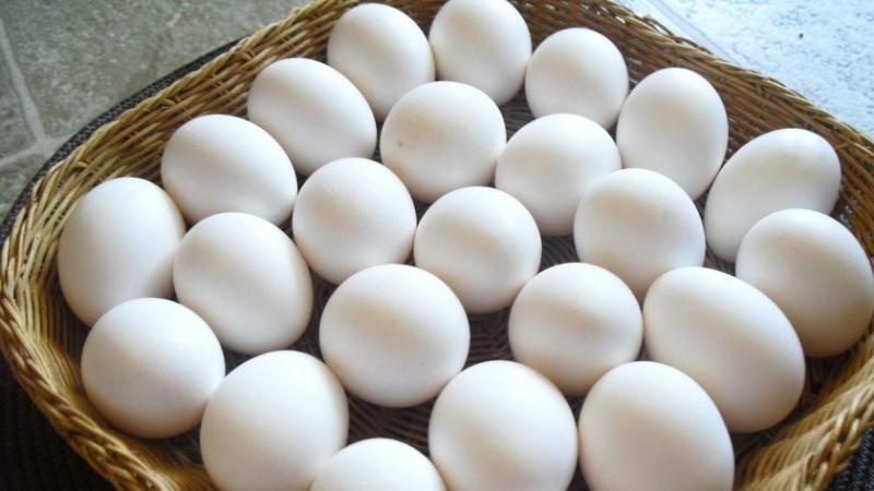 أسعار البيض اليوم الخميس 4-7-2024