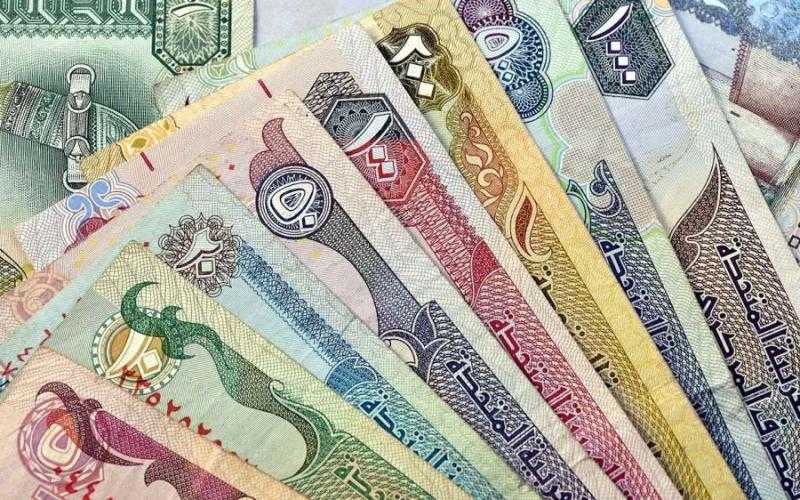 أسعار العملات العربية اليوم السبت 6-7-2024 (انفوجراف)
